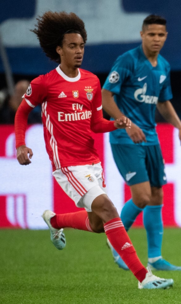 Foto de Tomás Tavares